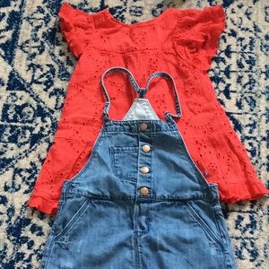 Zara Toddler Dresses